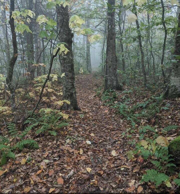 This Mountain Hike In Vermont Was Named One Of The Scariest Haunted Hiking Trails In The U.S.