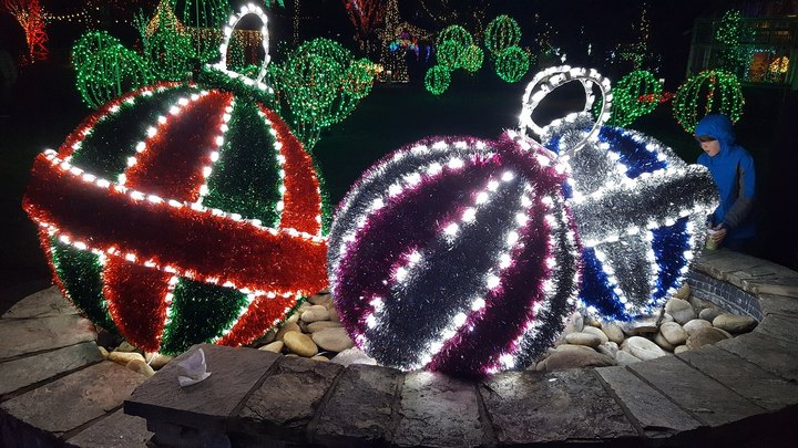 This Year, You Can Drive Your Own Car Through Winter Lights At The North Carolina Arboretum
