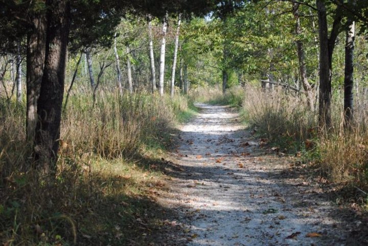 Take An Easy Loop Trail Past Some Of The Prettiest Scenery Near Detroit On Deer Run Trail