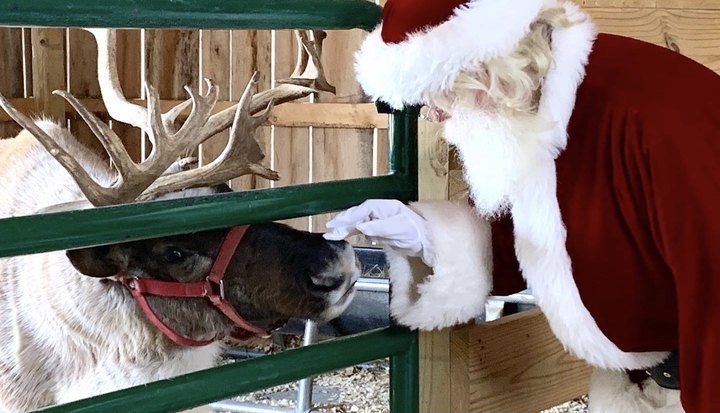 There's An Enchanting Reindeer Farm In Kentucky That Your Family Can Visit This Year
