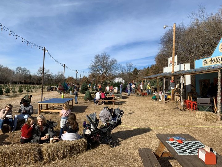 Experience Old Fashioned Family Fun At Well's Family Christmas Tree Farm In Oklahoma