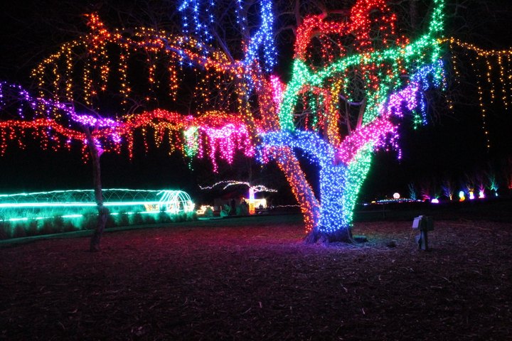 The Garden Christmas Light Displays At Overland Park Arboretum In Kansas Is Pure Holiday Magic