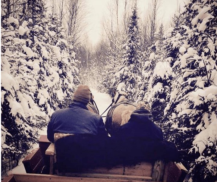 Experience The Magic Of Winter On These 9 Wisconsin Sleigh Rides
