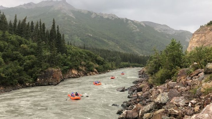 Experience Denali National Park Like Never Before With A New Wave Adventures Rafting Tour In Alaska