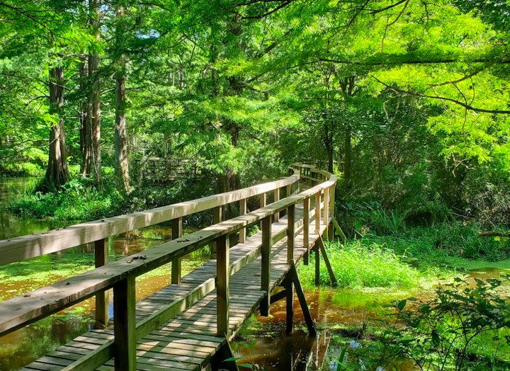 The Whole Family Will Love The Maze Of Trails At The Northlake Nature Center