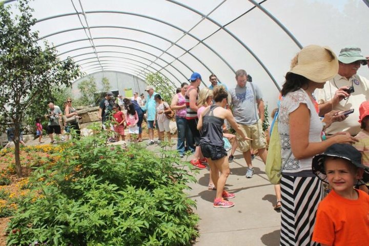 Spend A Magical Afternoon At Kansas's Largest Butterfly House At Wichita Botanica Gardens