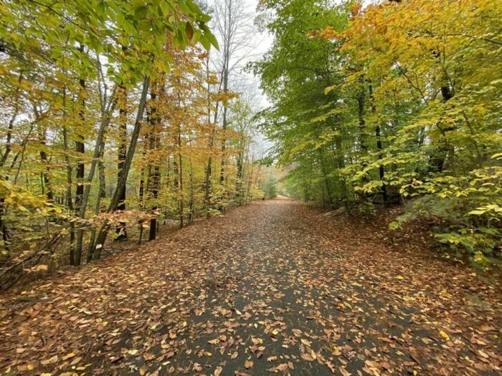 Hiking The Wompatuck State Park Big Loop In Massachusetts Is Like Entering A Fairytale