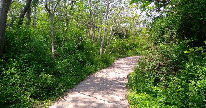 Admire Arrowheads On The Beautiful And Easy Higbee Beach Loop Trail In New Jersey
