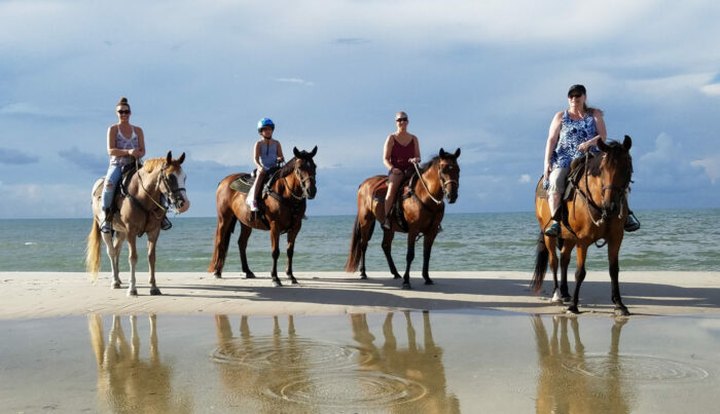 Visit The Beaches Of Cape San Blas By Horseback On This Unique Tour In Florida