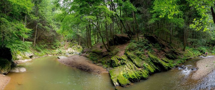 This Loop Trail In Maryland Is Currently A Mossy Paradise You'll Want To See In Person