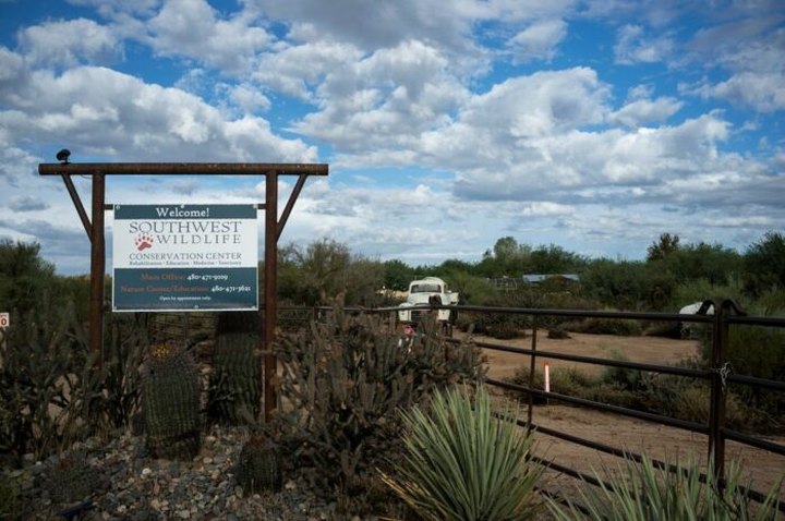 The Unique Day Trip To Southwest Wildlife Conservation Center In Arizona Is A Must-Do
