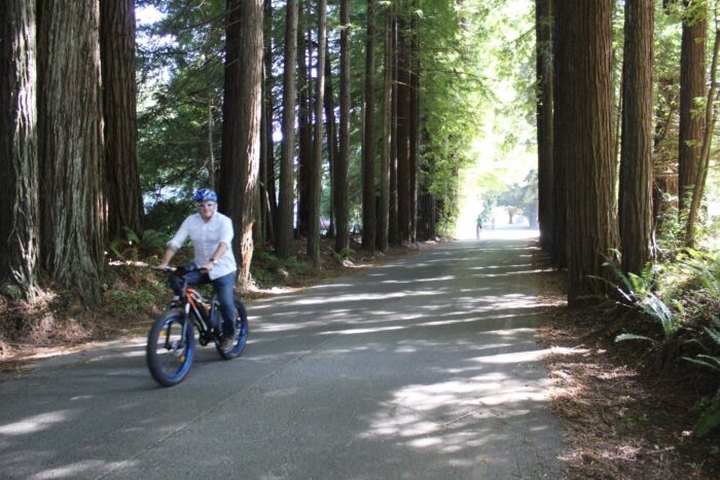 Ride An E-Bike Through The Redwood Forest In Northern California For An Inspiring Adventure