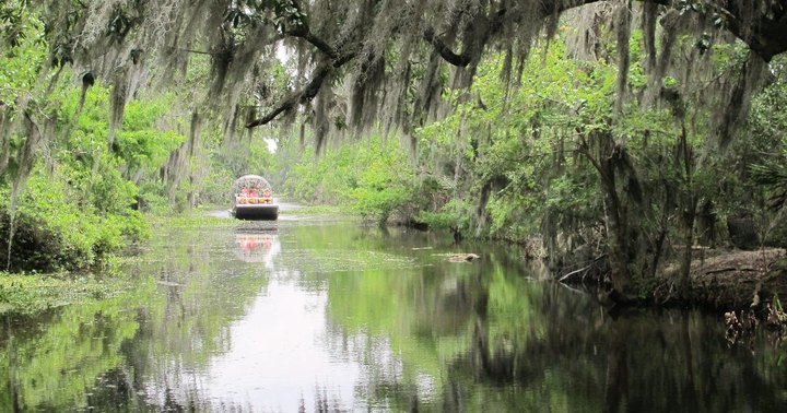 13 Awesome Day Trips In Louisiana Everyone Should Experience