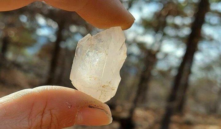 Hunt For Quartz On The Beautiful And Easy Crystal Vista Trail In Arkansas