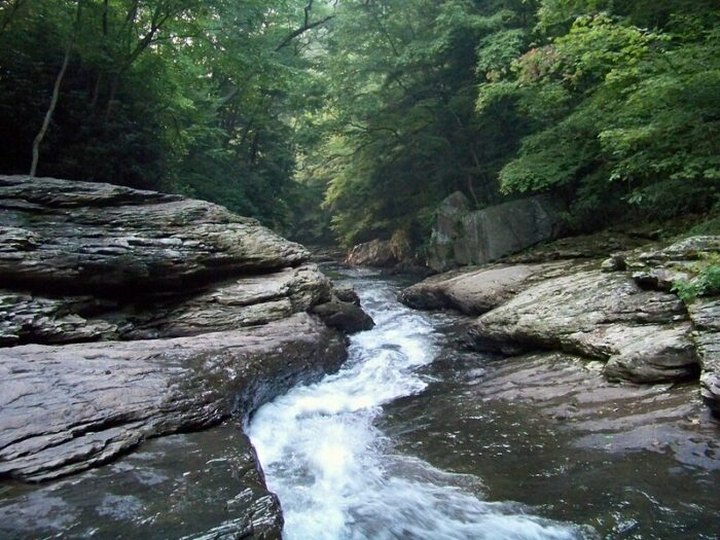 12 Incredible Hikes To Take Near Pittsburgh This Year