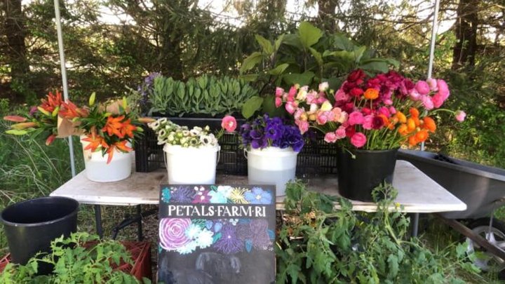 You Can Cut Your Own Flowers At Petals Farm In Rhode Island