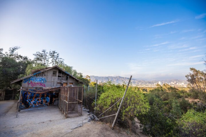 The Old Zoo In Griffith Park Might Just Be The Most Haunted Park In Southern California