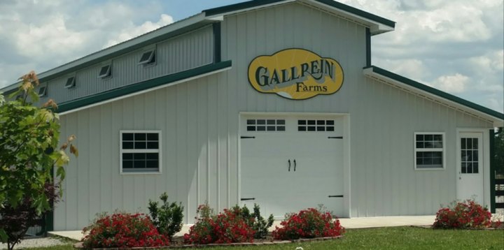 Feed Friendly Farm Animals And Pick Up A Few Plants At Gallrein Farms In Kentucky