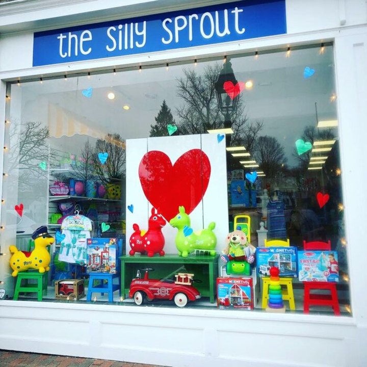 There's Something Spectacular And Fun For The Kids In All Of Us At The Silly Sprout Toy Store In Connecticut