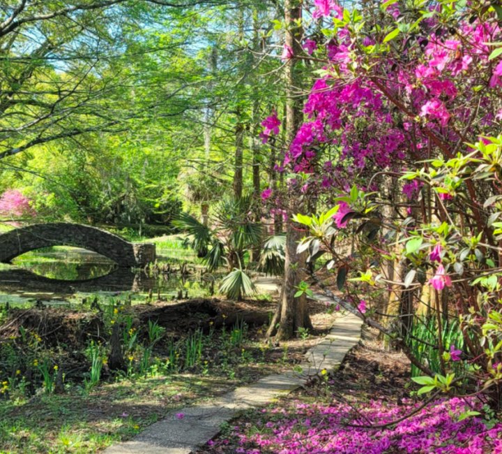 170 Acres Of Beautiful Blooms Await You At The Jungle Gardens In Louisiana
