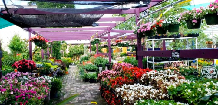 Beautiful Blooms And Fuzzy Friends Await You At Urban Roots Garden Center In New Orleans