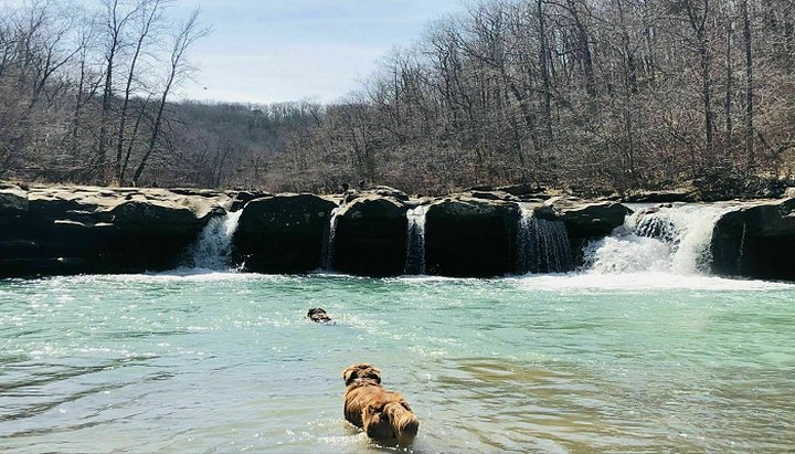 You'll Want To Spend The Entire Day At The Gorgeous Natural Pool In Arkansas' Kings River Falls Natural Area