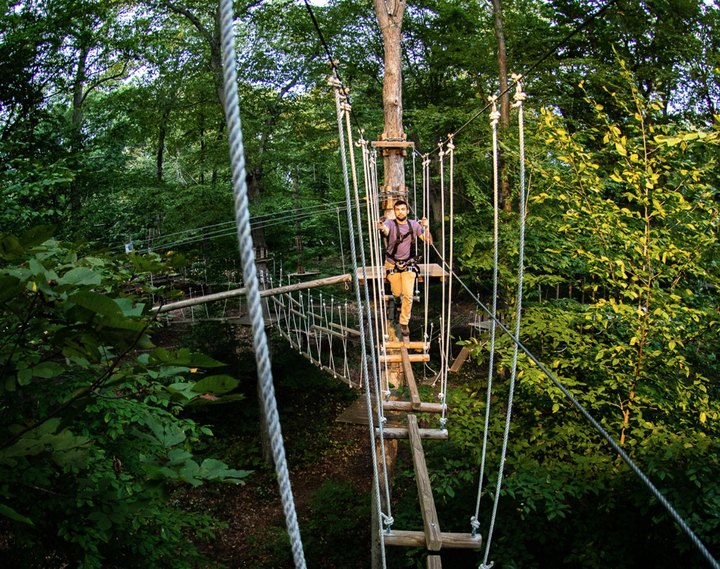 Experience The Virginia Forest From A New Perspective On The Canopy Walk At The Adventure Park At Virginia Aquarium