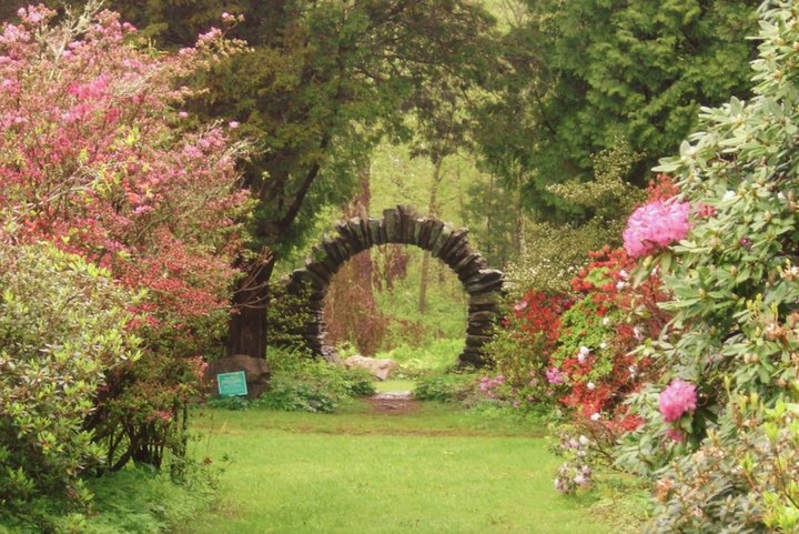 Kinney Azalea Gardens Is The Dreamiest Spring Destination In Rhode Island