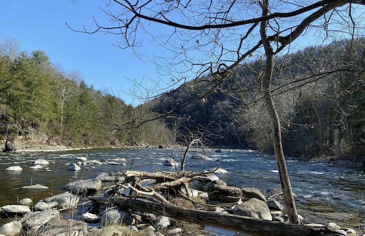 Herrick Trail Is A Gorgeous Forest Hike In Connecticut That Will Take You To A Hidden Overlook