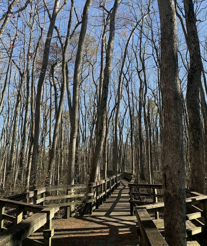 Clear Springs Nature Trail In Mississippi Leads To One Of The Most Scenic Views In The State