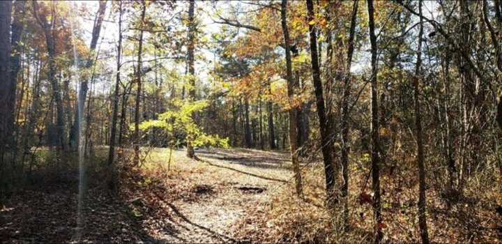 Chatham County Is Allegedly One Of North Carolina’s Most Haunted Small Counties