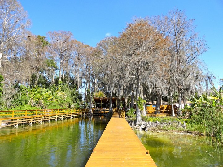 Enjoy An Unfussy, All-American Meal Dining On The Water At Lake Harris Hideaway In Florida