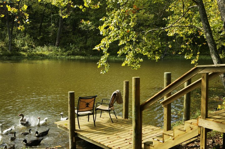 Stay In A Charming Arkansas Cottage With Its Own Private Six-Acre Lake