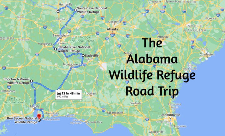 This Alabama Road Trip Lets You Experience 5 Of The State's Most Scenic Wildlife Refuges