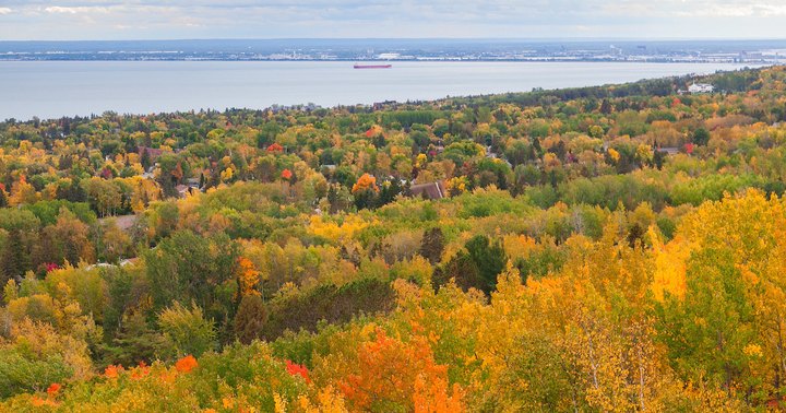 Take These 14 Country Roads In Minnesota For An Unforgettable Scenic Drive
