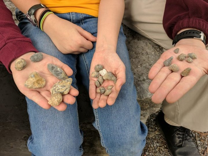 You’ll Love Digging For Fossils At The Unique Montour Preserve in Pennsylvania