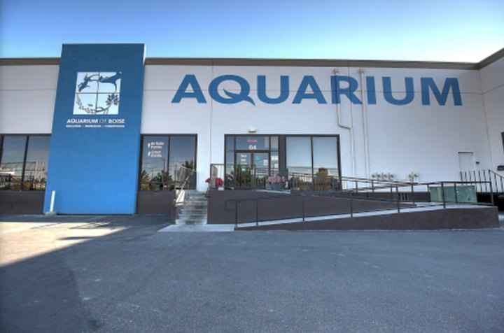 Get An Up-Close View Of Sharks, Rays, And Reptiles At Aquarium Of Boise In Idaho