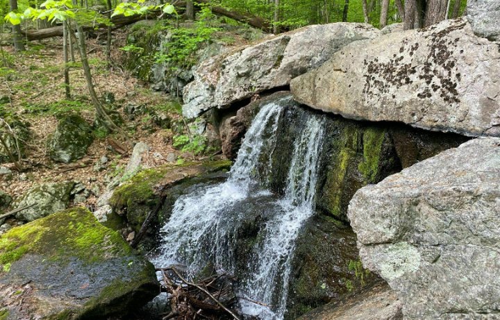 This Pretty Forest Trail In New Jersey Takes You Past A Cave And A Waterfall