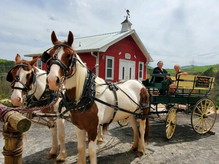 Take A Carriage Ride Through The Mountains For A Truly Unique Georgia Experience