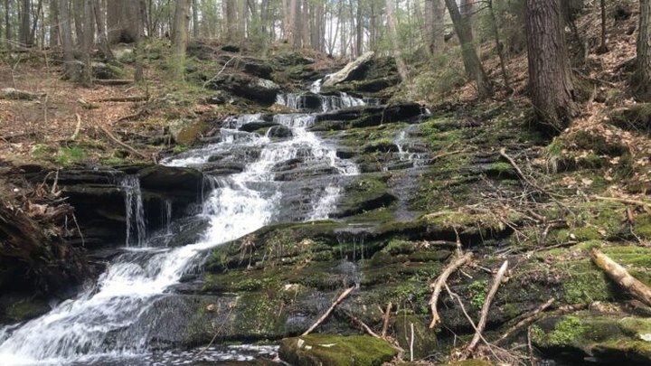 You’ll Love Digging For Garnets At The Unique Salmon River State Forest In Connecticut