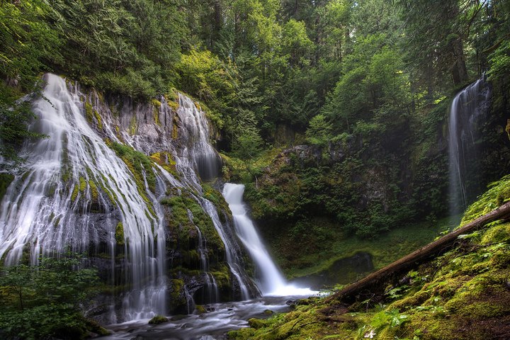 Washington's Panther Creek Falls Trail Leads To A Magnificent Hidden Oasis