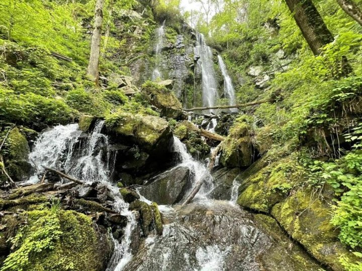 Take A South Carolina Adventure To Our State's Stunning Double Waterfall At Lee Falls
