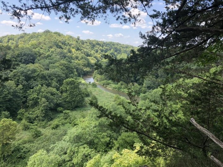 Crow's Nest Loop Trail Leads You Through The Iowa Forest