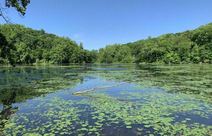 New Jersey’s Ghost Lake Trail Leads To A Magnificent Hidden Oasis