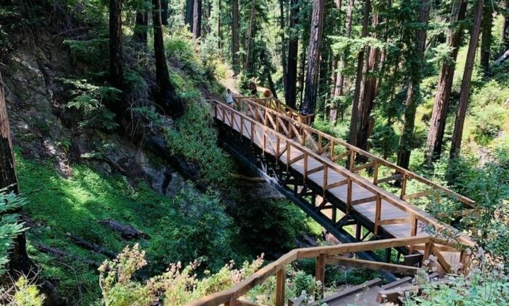 A Redwood Hiking Trail That Leads To A Waterfall In Northern California Has Re-Opened After 13 Years