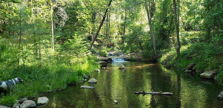 Horton Creek In Arizona Is Spring-Fed Fun For The Whole Family