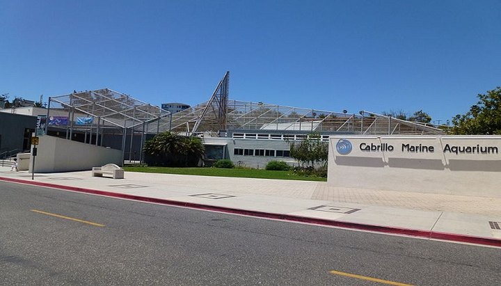 To See The Largest Collection Of Southern California Marine Life In The World For Free, Visit Cabrillo Marine Aquarium