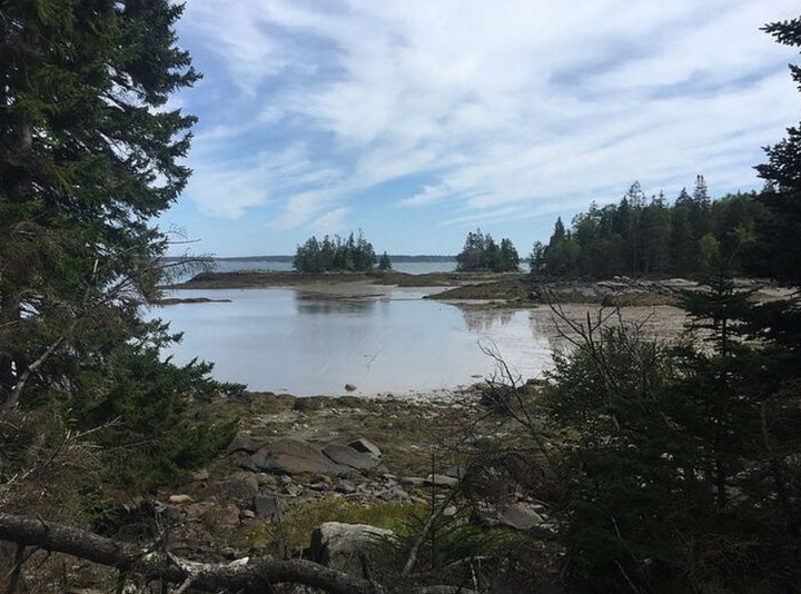 The 2.5-Mile Frank E. Woodworth Preserve Loop Leads Through Woodlands And Along The Maine Coast