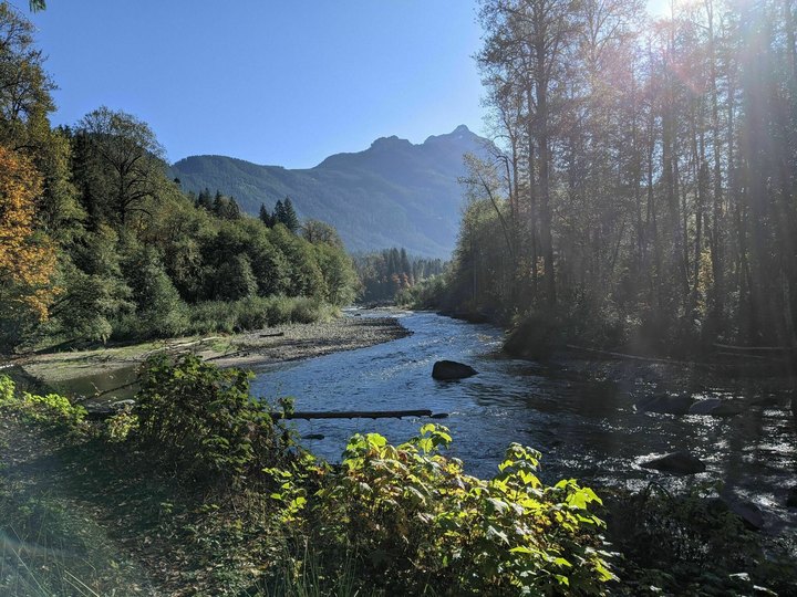 An Easy But Gorgeous Hike, Beaver Lake Trail Leads To A Little-Known River In Washington