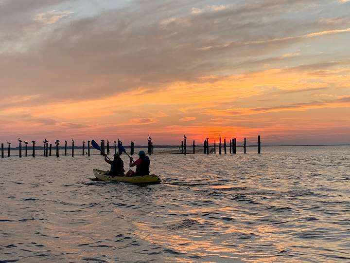 Take A Sunset Dolphin Kayak Tour For An Unforgettably Scenic Virginia Adventure